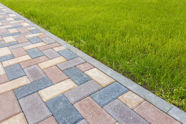 Best Driveway Pavers Near Me  in Rocky Mount, NC